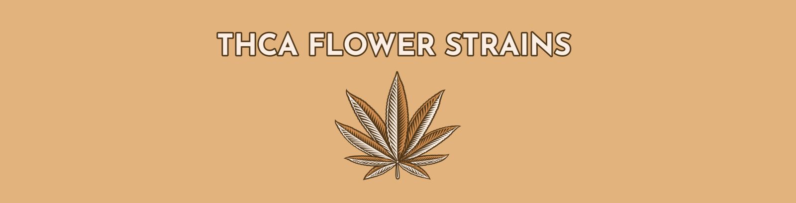 How to Find THCA Flower Strains for You