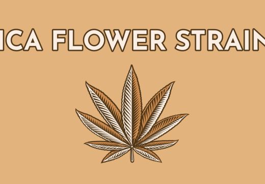 How to Find THCA Flower Strains for You