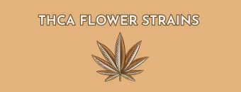 How to Find THCA Flower Strains for You