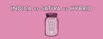 THCA Pre-Rolls: Indica vs. Hybrid vs. Sativa