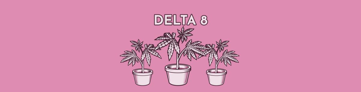  What Is Delta 8 & Does Delta 8 Show Up on a Drug Test?