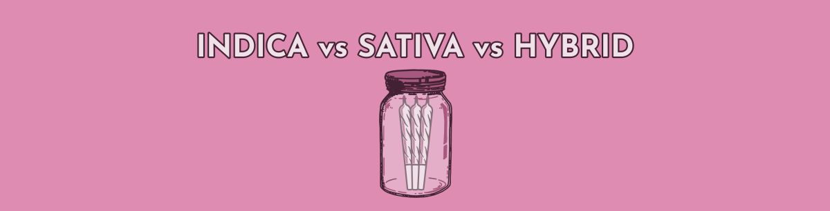 THCA Pre-Rolls: Indica vs. Hybrid vs. Sativa