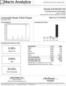 Limoncello Runtz Flower - THCA - Sativa 