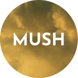 Mushroom Blend Products Icon