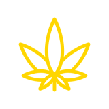 Melonatta Strain Icon